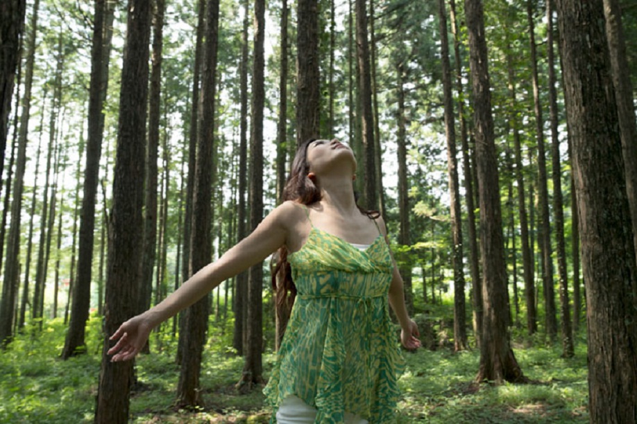 The Benefits of Forest&nbsp;Bathing