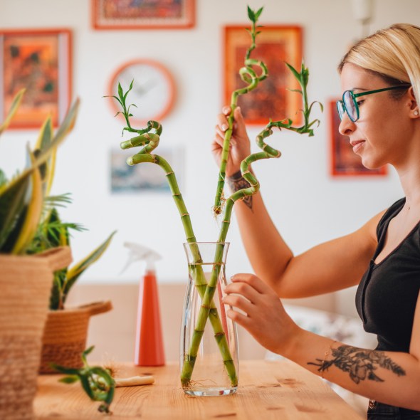 What Are The Basics Of Feng Shui?