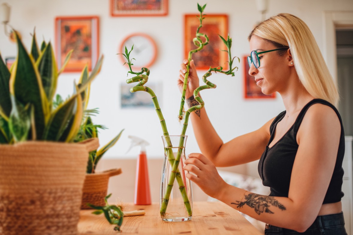 What Are The Basics Of Feng&nbsp;Shui?