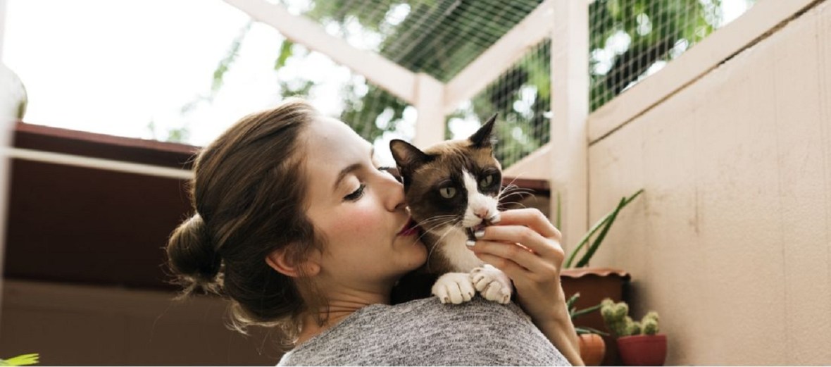 Caring For An Older&nbsp;Cat