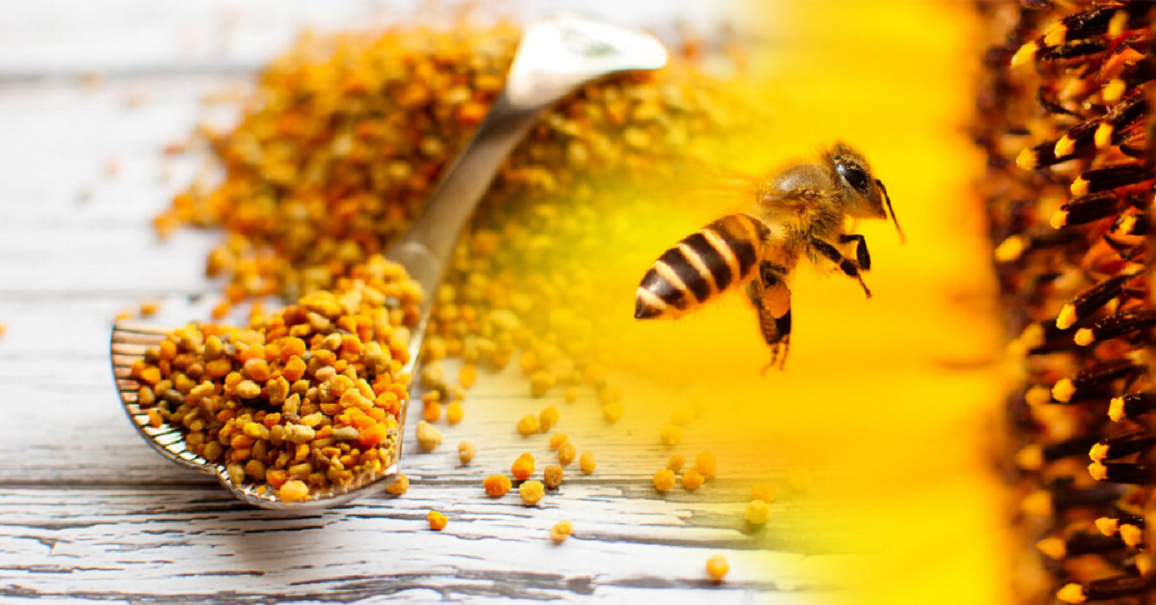 The Health Benefits Of Bee Propolis