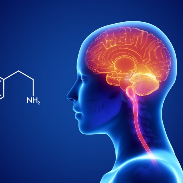 dopamine, addiction, happiness, life coach, self help, happy hub, joy,