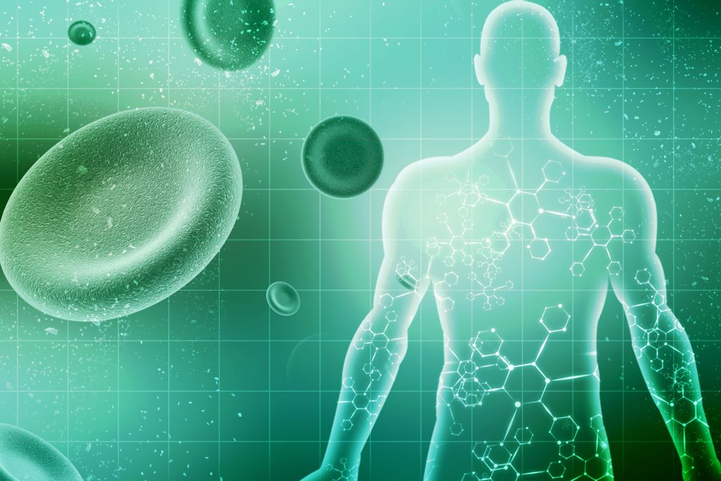 What Is The Endocannabinoid&nbsp;System?