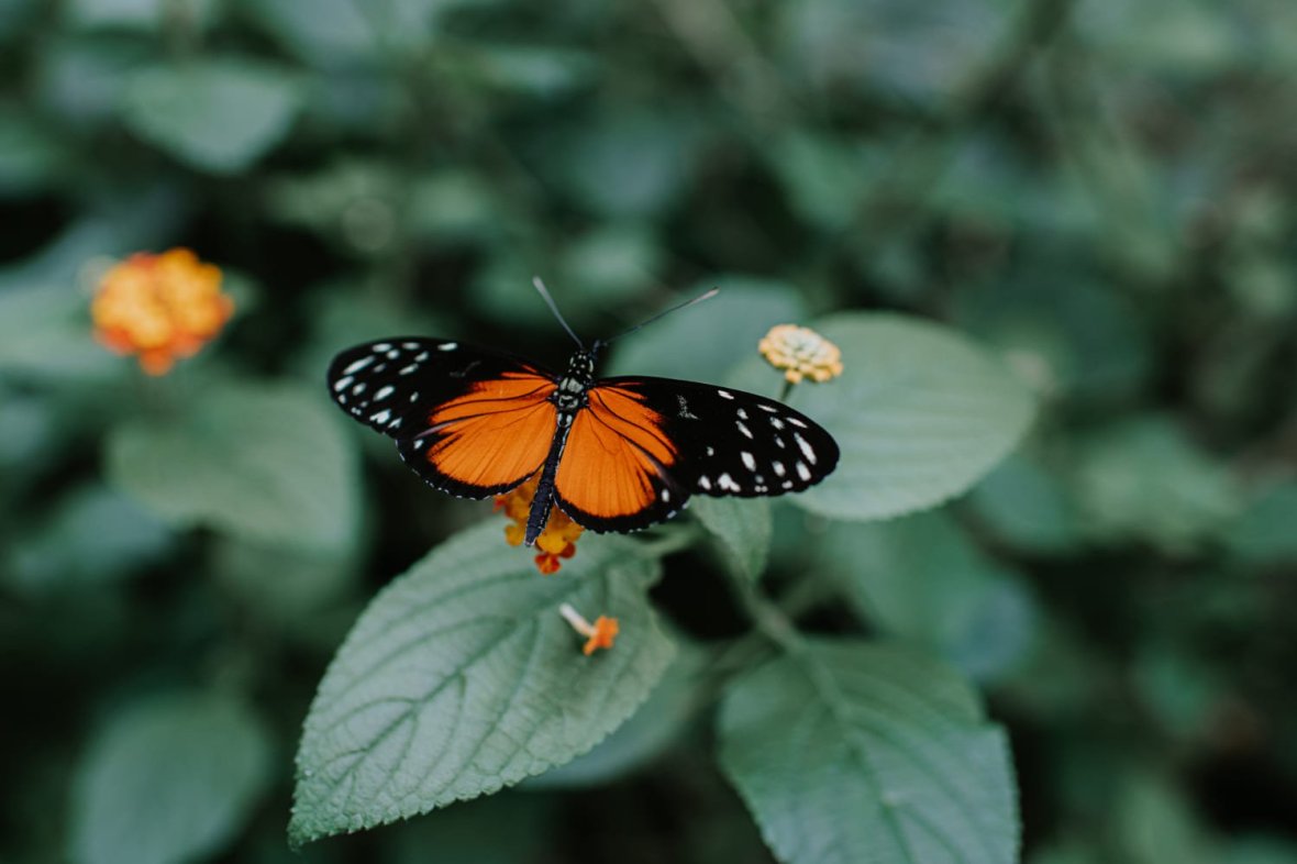 How Can You Reinvent&nbsp;Yourself?