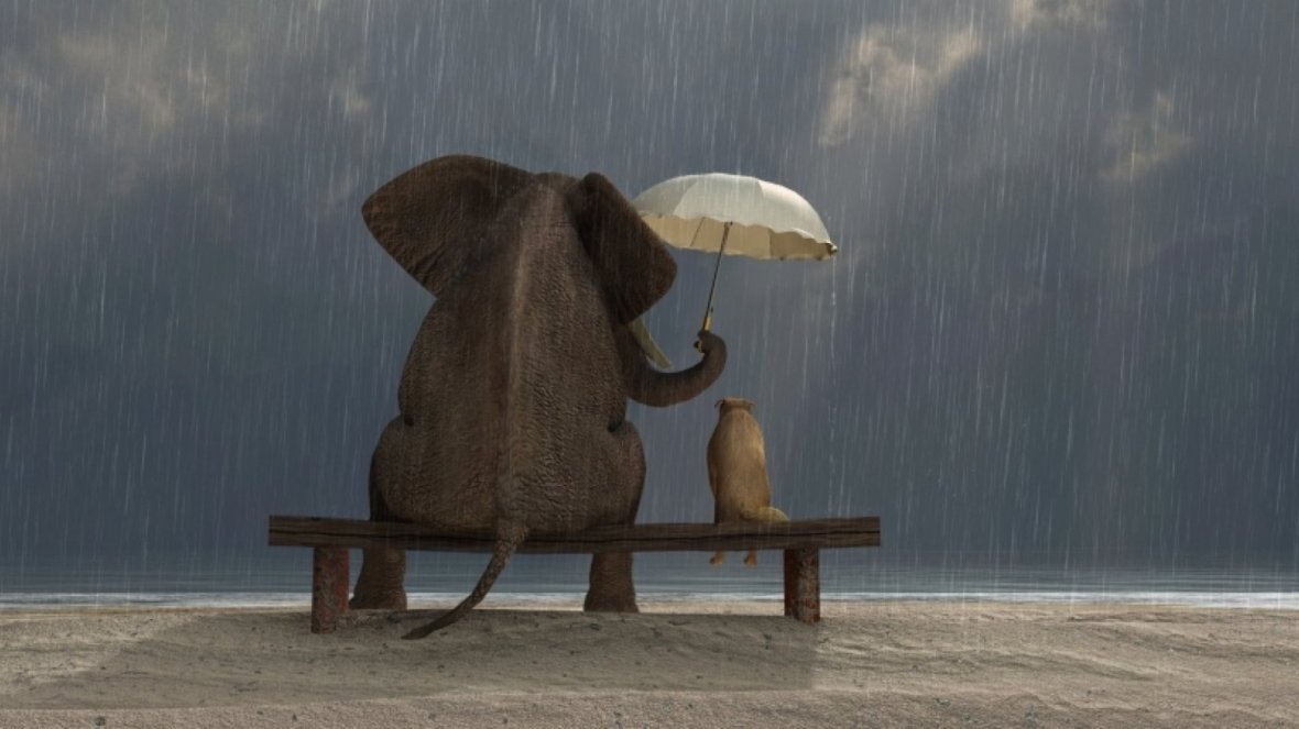 How Can I be Kinder to&nbsp;Others?