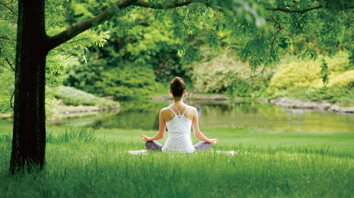 Learning About Mudras