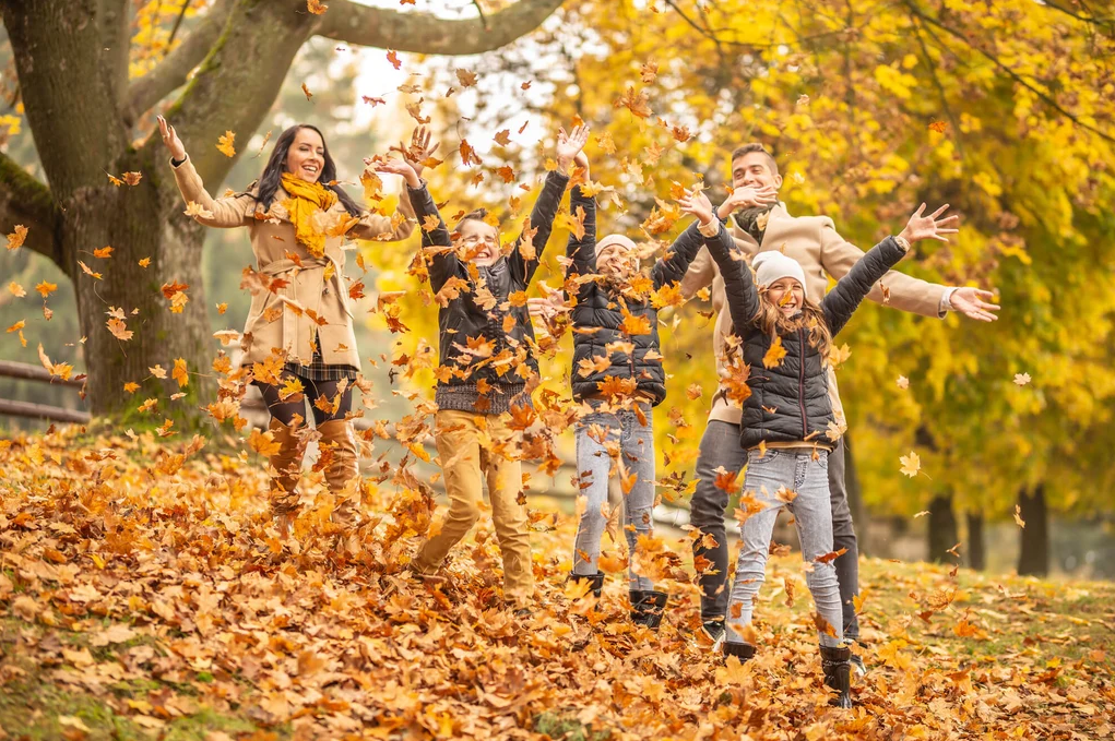 Fun Fall Ideas: A Season of Change